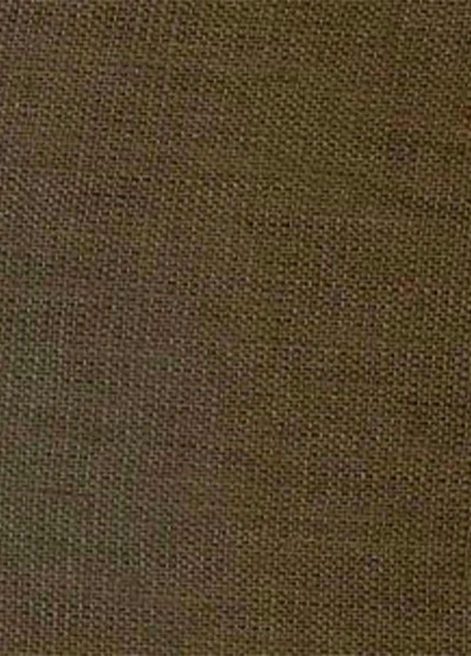 CAMISA LISO OLIVO