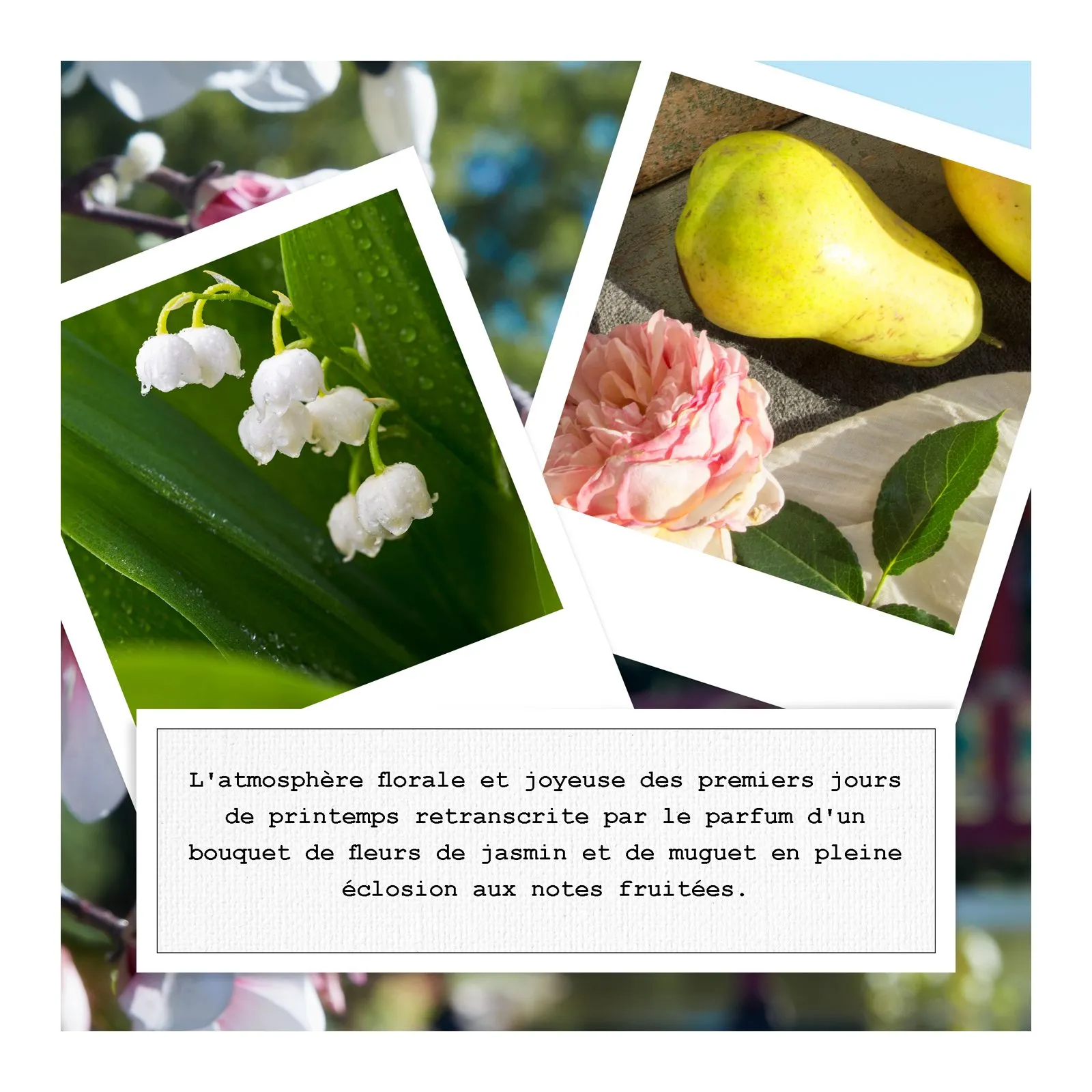 MAISON MARGIELA Replica Springtime in a Park